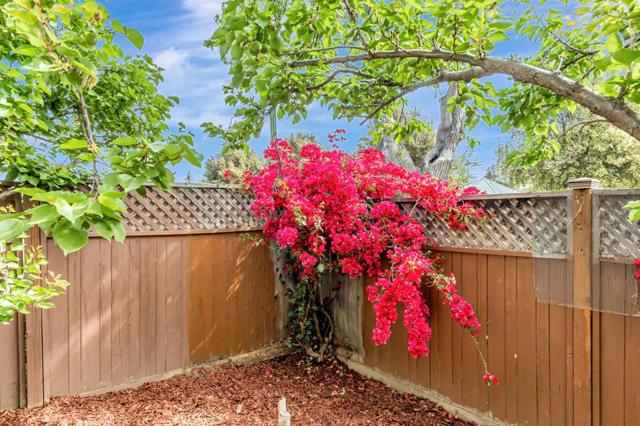 529 Park Meadow Court, San Jose CA: https://media.crmls.org/mediaz/cfba7927-abf8-46d0-a4c4-af3030469cc9.jpg