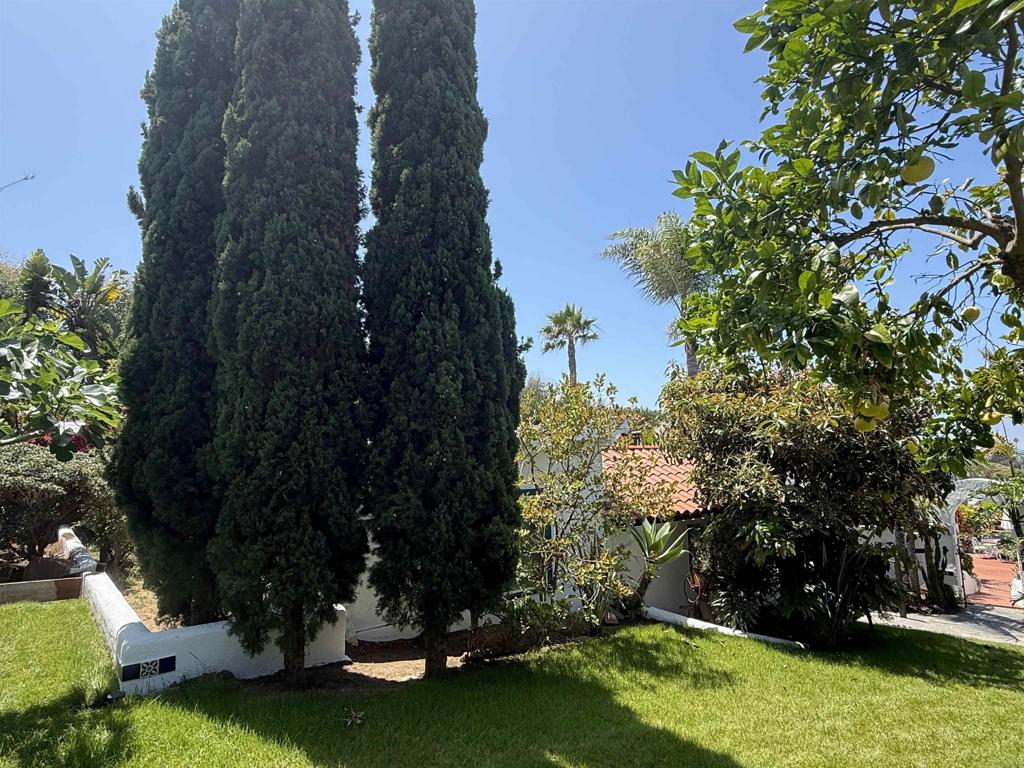 122 Rios - photo 15
