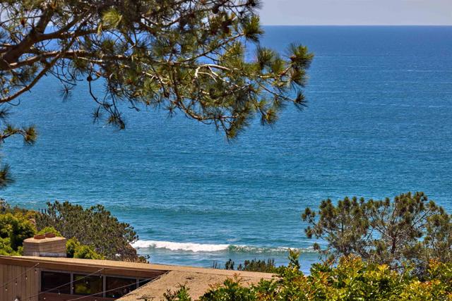 271 Ocean View Ave, Del Mar CA: https://media.crmls.org/mediaz/cfce1fe4-5cea-4545-9fba-7a26cf5adb5f.jpg