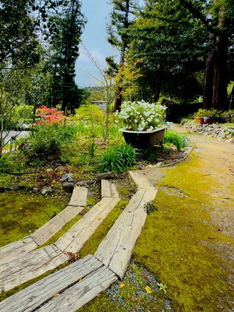 108 Santa Maria Avenue, Portola Valley CA: https://media.crmls.org/mediaz/cfcf94d4-3252-452f-9220-73b2387bfcd4.jpg