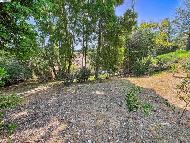 35 San Joaquin Pl, Novato CA: https://media.crmls.org/mediaz/cfd26c11-8196-4303-b198-3123549ab147.jpg