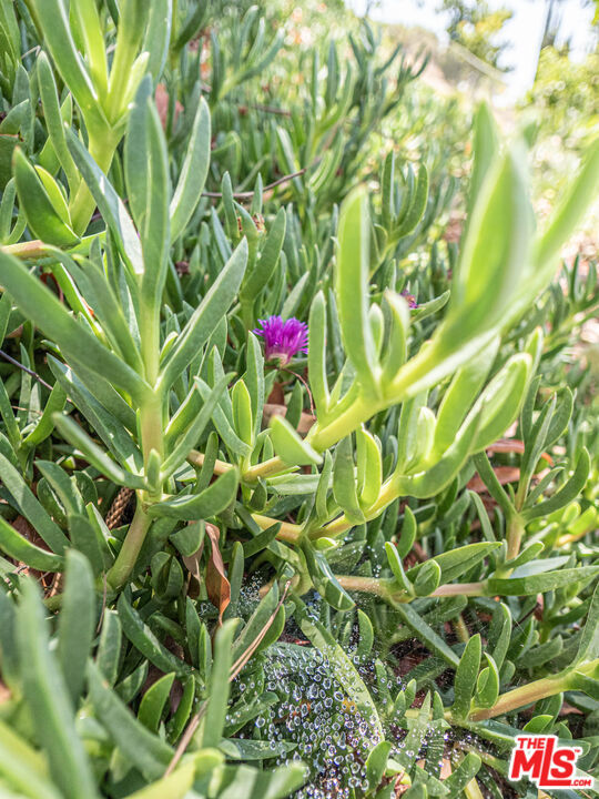 https://media.crmls.org/mediaz/cfe45532-5d45-4736-b4a8-0882c3422d23.jpg?preset=X-Large