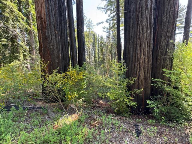Image 1 of 5 For 0 Summit Drive