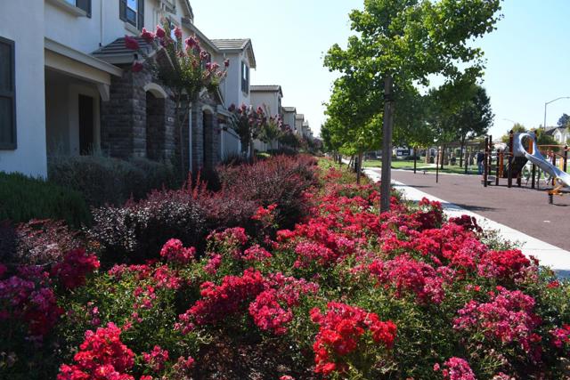19051 Chicory Lane, Morgan Hill CA: https://media.crmls.org/mediaz/cff77fcd-d51b-4aa2-9b15-03c2dca6e16c.jpg