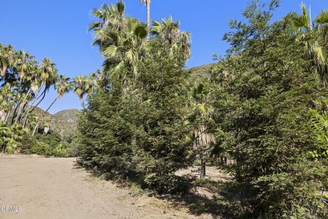 16825 Maricopa Highway, Ojai CA: https://media.crmls.org/mediaz/cff81ffc-fa8d-4750-85bd-3123d331b222.jpg