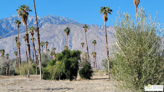 2700 E Mesquite Avenue, Palm Springs CA: https://media.crmls.org/mediaz/cff93827-8228-4b97-8427-e6e958808f3a.jpg
