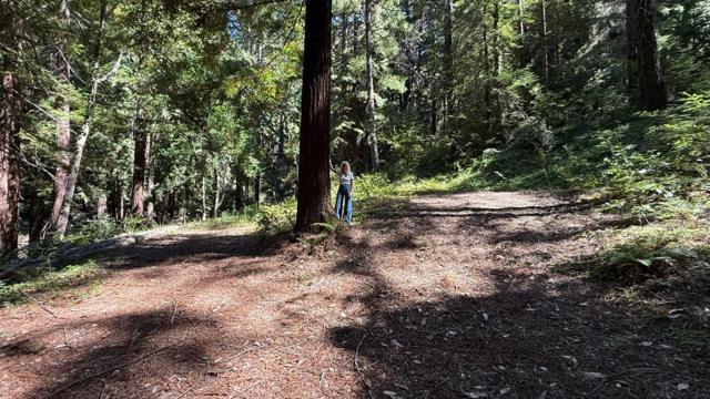 15645 Stetson Road, Los Gatos CA: https://media.crmls.org/mediaz/d0008a58-ea24-4eca-b79a-568e3e363d9f.jpg