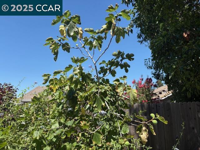 3424 Molokai Rd, West Sacramento CA: https://media.crmls.org/mediaz/d003a234-beee-406b-b7a7-838f328d1258.jpg