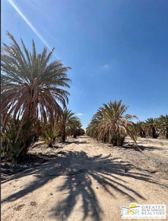 0 Noffsinger, Niland CA: https://media.crmls.org/mediaz/d0045d9c-73f2-480e-870f-2beda501416e.jpg