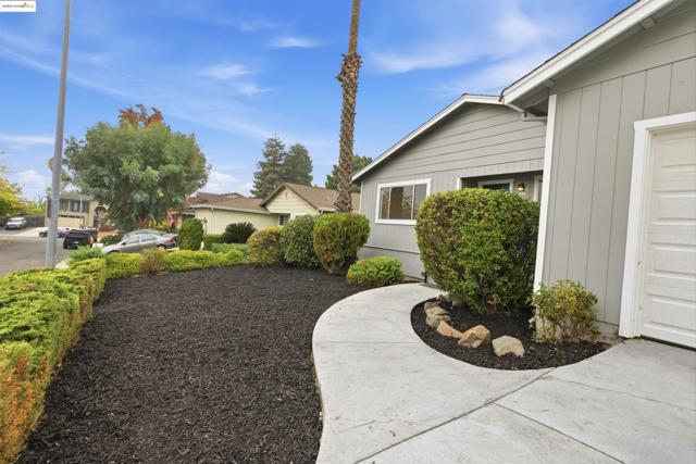 3640 Sun View Terrace, Concord CA: https://media.crmls.org/mediaz/d0095722-ad30-4f73-8061-577c7a4f8697.jpg