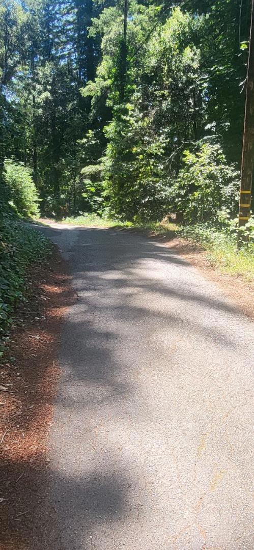 1080 Blue Ridge Drive, Boulder Creek CA: https://media.crmls.org/mediaz/d00aa45b-9a53-46fc-bc02-f6fd104cefe6.jpg