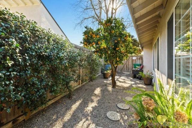 3868 Avenida Feliz, Rancho Santa Fe CA: https://media.crmls.org/mediaz/d00b200d-d3ff-42d1-9605-711b9716e646.jpg