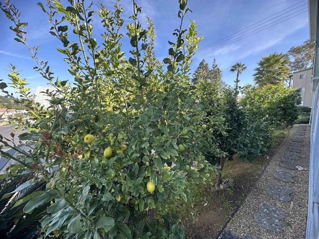 Detail Gallery Image 26 of 26 For 525 W El Norte  Pkwy #127,  Escondido,  CA 92026 - 2 Beds | 2 Baths