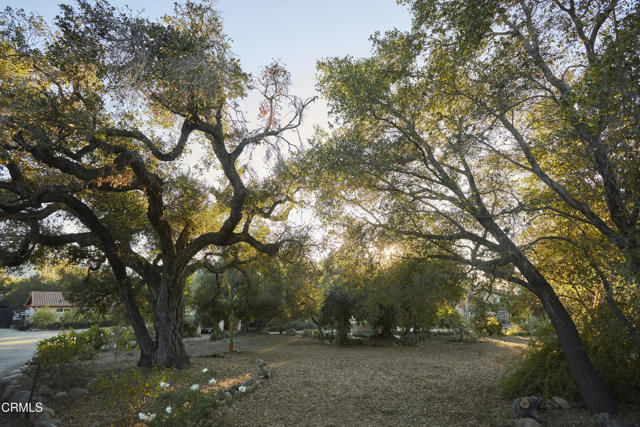 3450 Thacher Road, Ojai CA: https://media.crmls.org/mediaz/d0158f9e-9d40-40c7-b60b-ba8d33887d3d.jpg