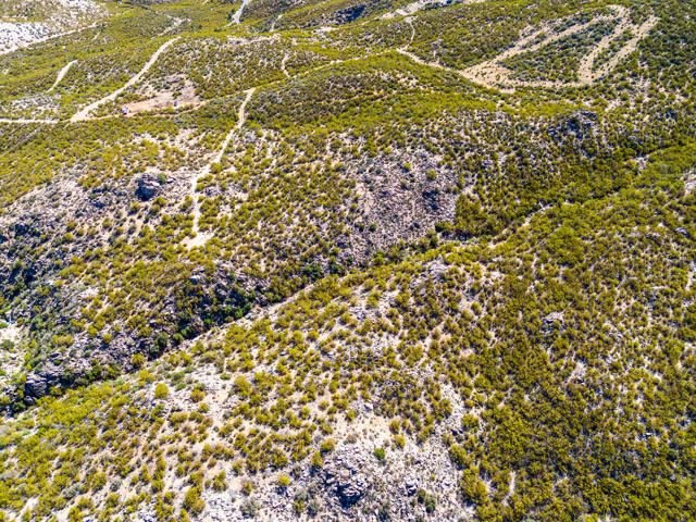 Details for 0 Palace Drive, Mountain Center, CA 92561