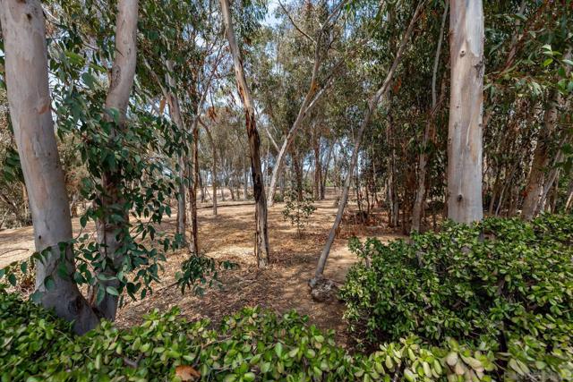 2708 Grove Ave, Carlsbad CA: https://media.crmls.org/mediaz/d0266728-fb2a-4ff3-b018-8f73b0966eac.jpg