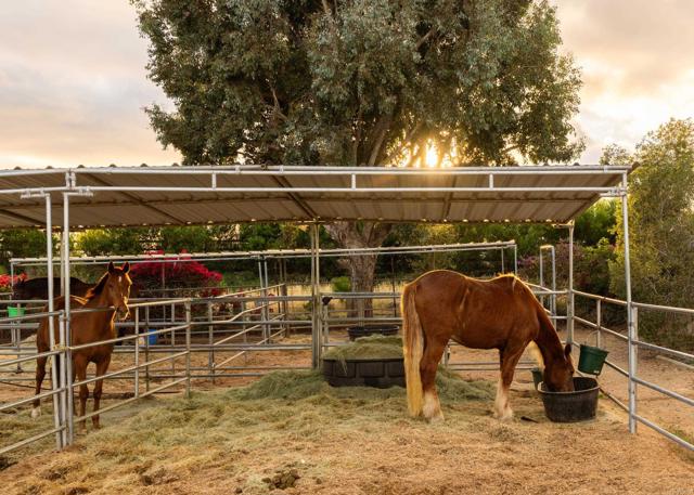 Detail Gallery Image 7 of 46 For 16761 Artesian Breeze Way, San Diego,  CA 92127 - 5 Beds | 4 Baths