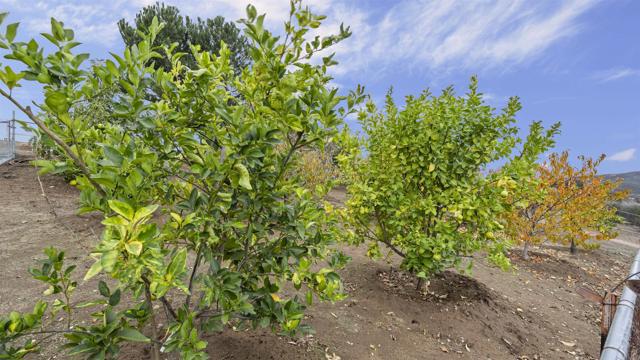 Detail Gallery Image 39 of 49 For 39260 Grassy Rd, Temecula,  CA 92592 - 3 Beds | 2 Baths