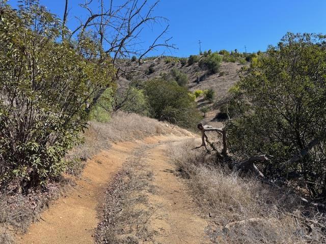 0 Santa Virginia Drive, Valley Center CA: https://media.crmls.org/mediaz/d03a65d2-48dd-426c-ad6e-da255f195f71.jpg