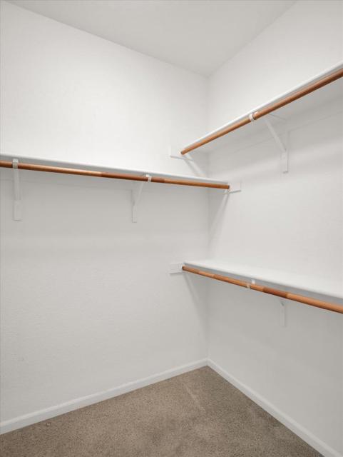 325 W Alcala Avenue, Mountain House CA: https://media.crmls.org/mediaz/d048cd13-bf10-4f35-aedc-dfcce929d110.jpg