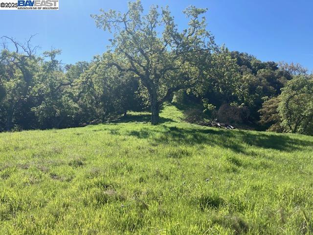 0 Wanda Way, Martinez CA: https://media.crmls.org/mediaz/d049bed5-124b-432f-8d1d-d7a4806ff0ad.jpg