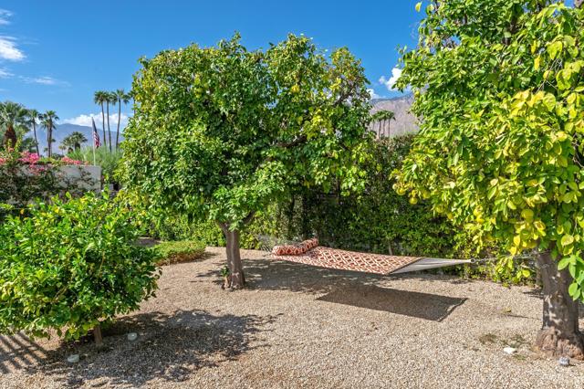 2210 E Calle Papagayo, Palm Springs, CA 92262