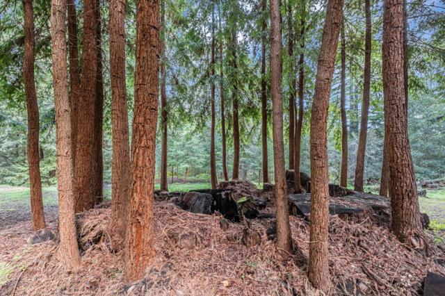 601 Old Hazel Dell Road, Watsonville CA: https://media.crmls.org/mediaz/d0503f6f-9327-49ad-b50b-9685a30cd118.jpg