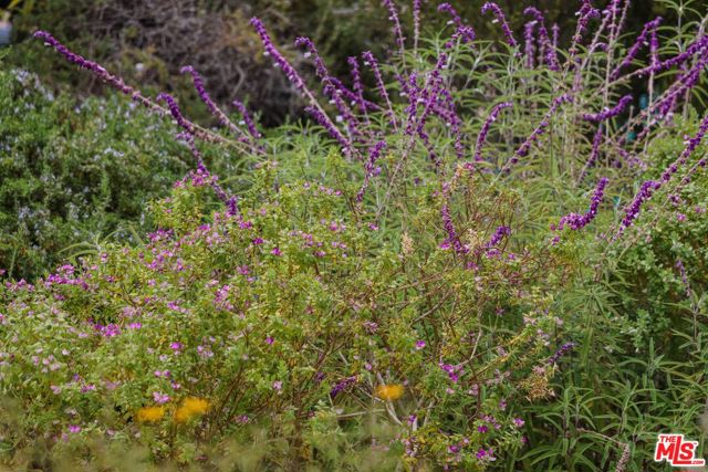 520 Barker Pass Road, Santa Barbara CA: https://media.crmls.org/mediaz/d050f867-b482-4e7b-9857-c7db09273628.jpg