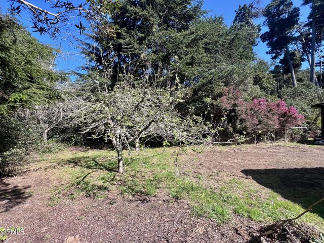 Detail Gallery Image 50 of 65 For 18751 Sears Ln, Fort Bragg,  CA 95437 - 2 Beds | 2 Baths