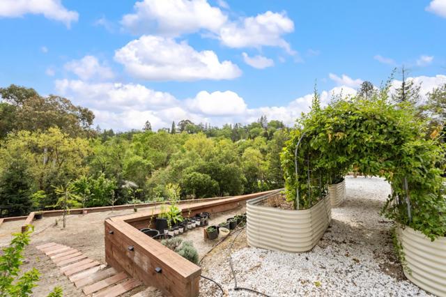 157 Marks Road, Alamo CA: https://media.crmls.org/mediaz/d05d3197-e4ef-42aa-8bda-f693c4f6f203.jpg