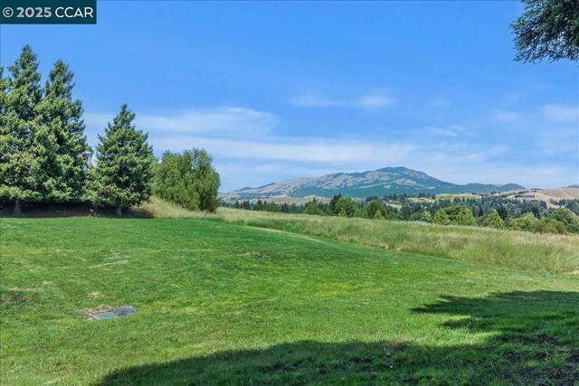 1666 Brush Creek Pl, Danville CA: https://media.crmls.org/mediaz/d05e7a35-13d0-44a5-b2fc-f7385c4c65d8.jpg