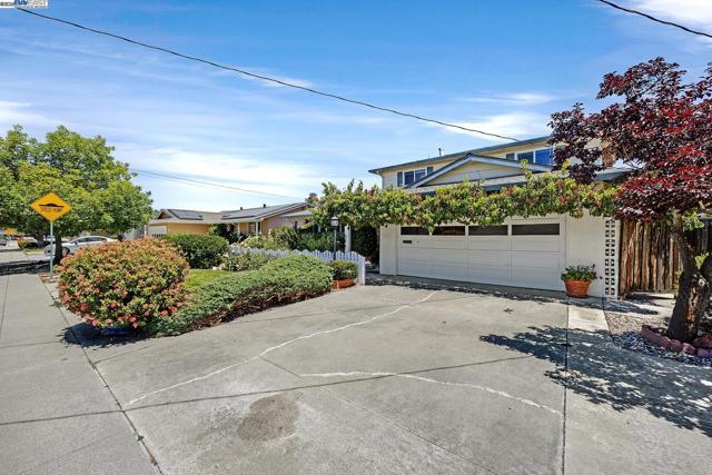 426 El Caminito, Livermore CA: https://media.crmls.org/mediaz/d067bf5a-506e-4c80-9882-42737b6549a1.jpg