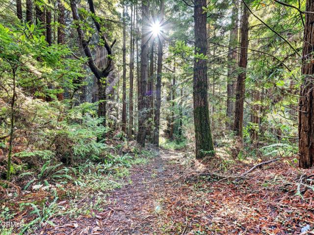 Detail Gallery Image 32 of 47 For 19400 Dorffi Rd, Fort Bragg,  CA 95437 - 3 Beds | 2/1 Baths