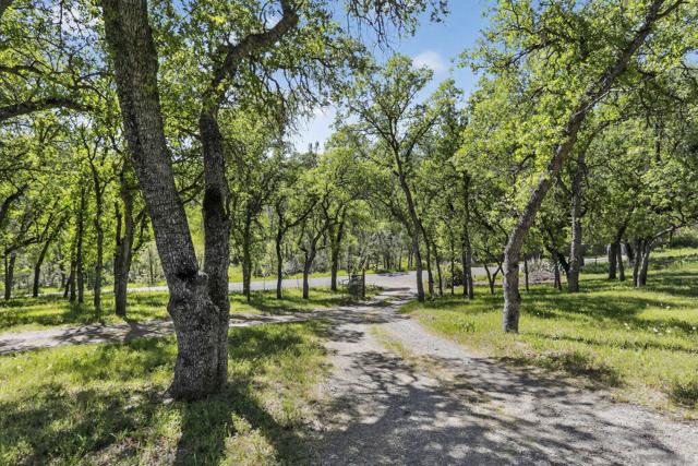 16522 Stagecoach, Corning CA: https://media.crmls.org/mediaz/d0758e10-80fc-4b27-ba0e-93c67d3699e7.jpg