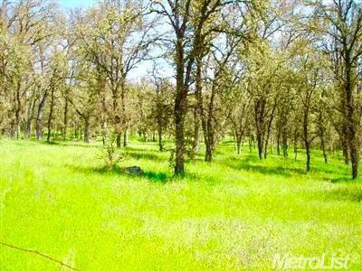 Details for 0 Grassy Run Road, Placerville, CA 95667