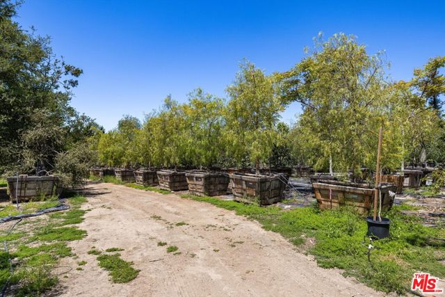 1048 E La Loma Avenue, Somis CA: https://media.crmls.org/mediaz/d07f45a5-9424-4589-adf3-b1dc163b08c3.jpg