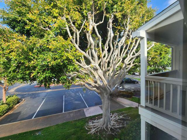 12229 Carmel Vista, San Diego CA: https://media.crmls.org/mediaz/d08d47d0-b3e7-48e2-8712-c82c26877352.jpg