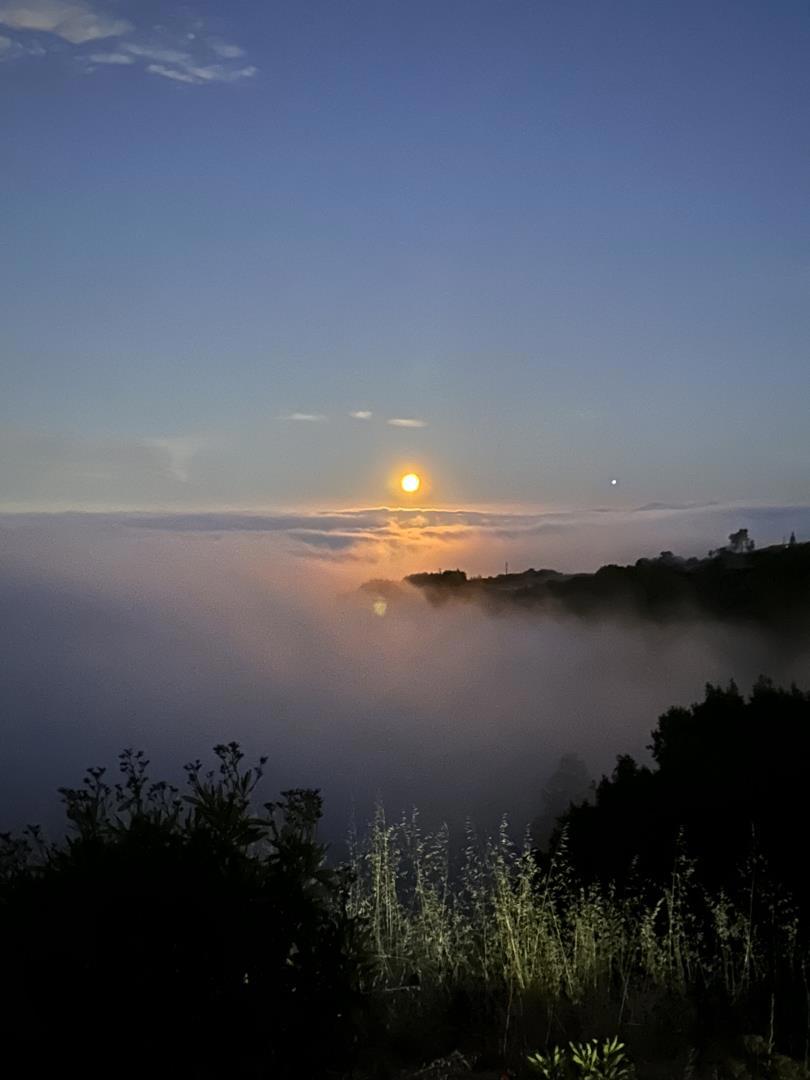 https://media.crmls.org/mediaz/d092e9df-b675-42a5-9b49-41bd3ef842f2.jpg?preset=X-Large