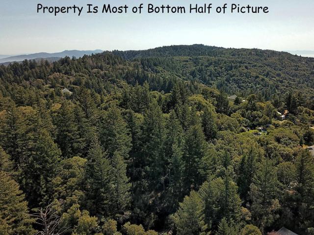 12500 Fox Run, Los Gatos CA: https://media.crmls.org/mediaz/d097f924-209f-43a0-8ce8-4fd56c61a3d4.jpg