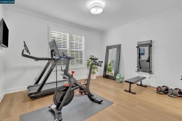 529 Justin Morgan Dr, Alamo CA: https://media.crmls.org/mediaz/d099fed0-2d67-49a4-ba6b-b09e78265bca.jpg
