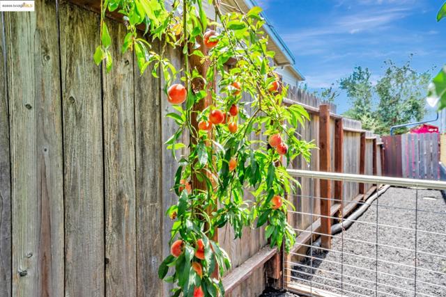 4801 Fairfax Ave, Oakland CA: https://media.crmls.org/mediaz/d0aff4c5-2687-4069-8068-3a987bb0b2d7.jpg