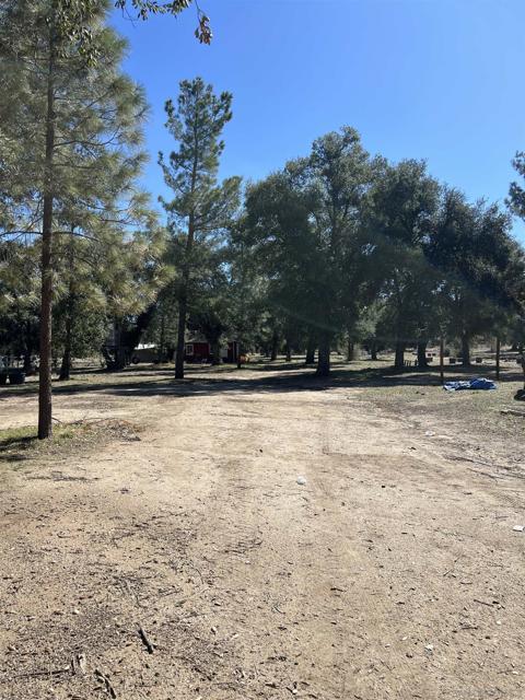30247 Chihuahua Valley Road, Warner Springs CA: https://media.crmls.org/mediaz/d0b31a40-44a9-44df-9111-73f3b07e6394.jpg