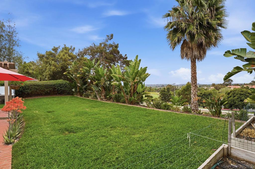 3520 Sitio Baya - photo 10