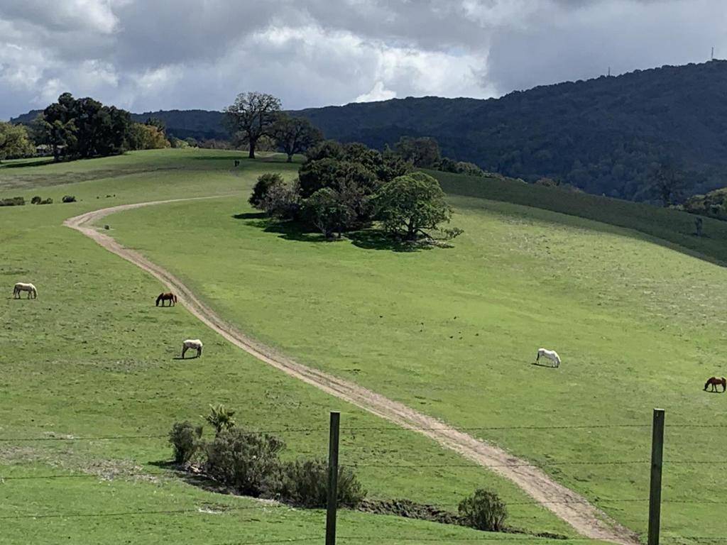 https://media.crmls.org/mediaz/d0c177e5-3763-47eb-b7a6-cd24d889b1d9.jpg?preset=X-Large