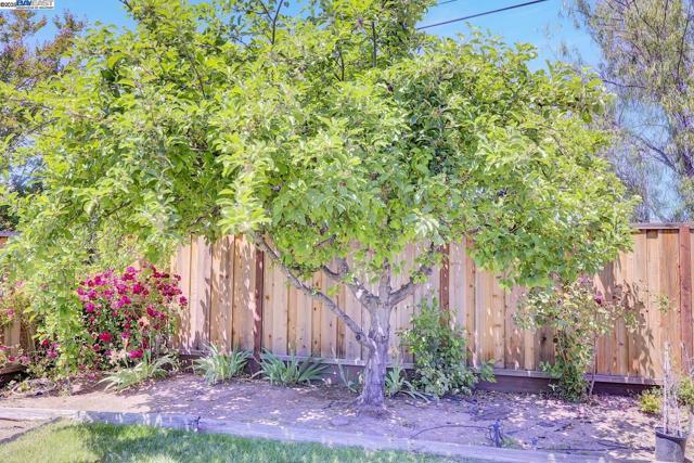 1487 De Palma Dr, San Jose CA: https://media.crmls.org/mediaz/d0c25b9e-da3c-4335-b5fc-a6ff4025b95d.jpg