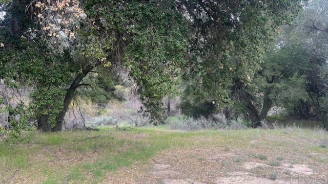 Detail Gallery Image 8 of 12 For 1400 Starship Lane, Jacumba,  CA 91934 - – Beds | – Baths