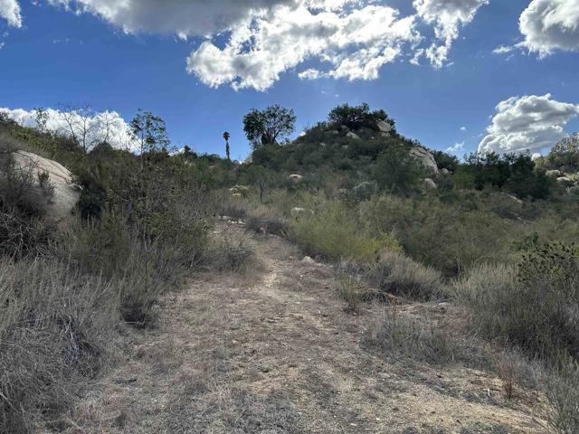 Detail Gallery Image 41 of 63 For 2494 Donnil Lane, Fallbrook,  CA 92028 - 3 Beds | 2 Baths