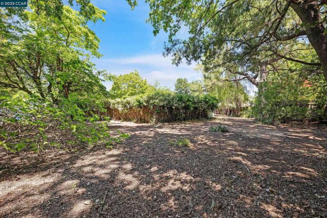 51 Bolla Ave, Alamo CA: https://media.crmls.org/mediaz/d0c4dac7-ea0a-4bfb-a403-d0145c7cb8ec.jpg