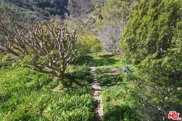 Drew Fenton | 1515 Umeo Road Pacific Palisades CA | MLS: 7254935