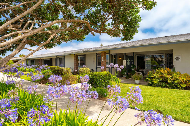 Front Image Thumbnail for CRV1-32907